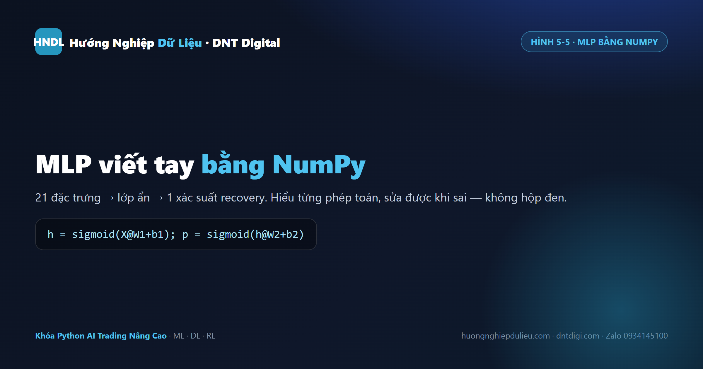 MLP viết tay bằng NumPy: 21 đặc trưng → lớp ẩn → 1 xác suất recovery, hiểu từng phép toán