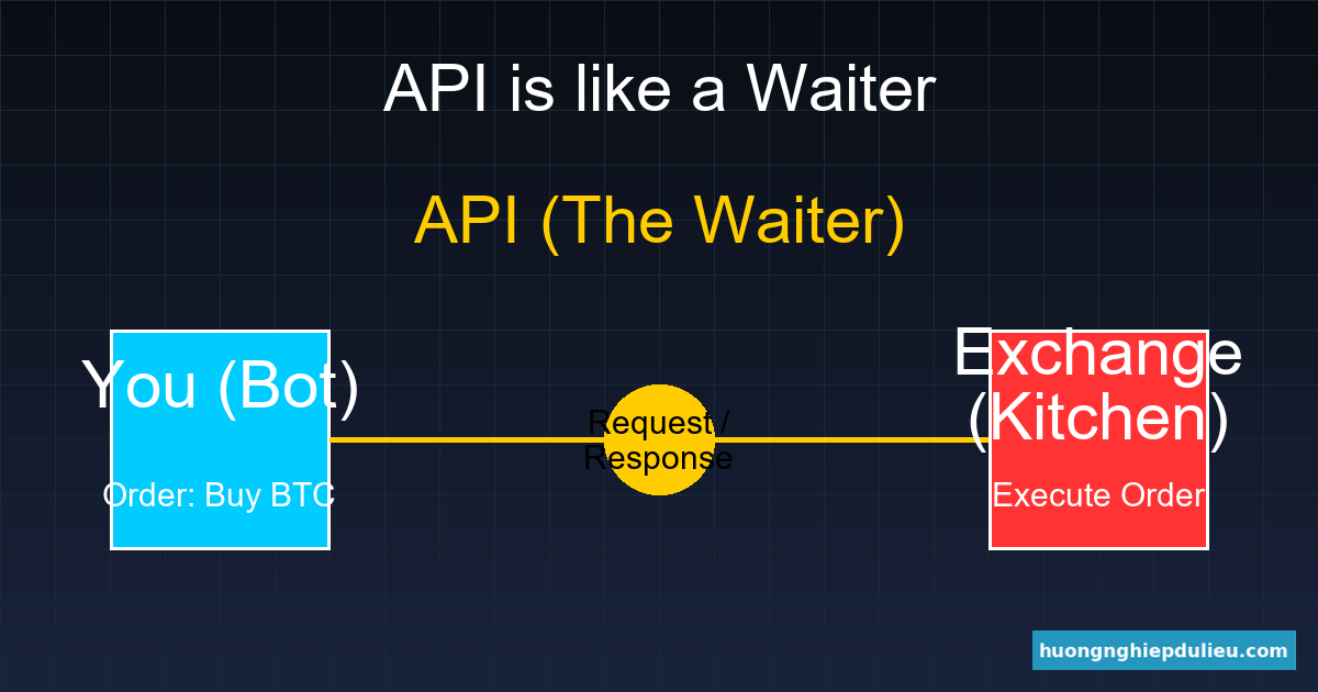 API là gì? Cách kết nối Bot của bạn với Binance và Chứng khoán Việt Nam