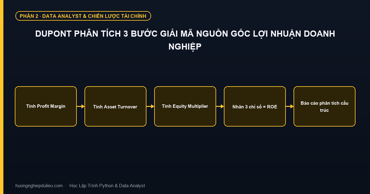Dupont Phân Tích 3 Bước Giải Mã Nguồn Gốc Lợi Nhuận Doanh Nghiệp