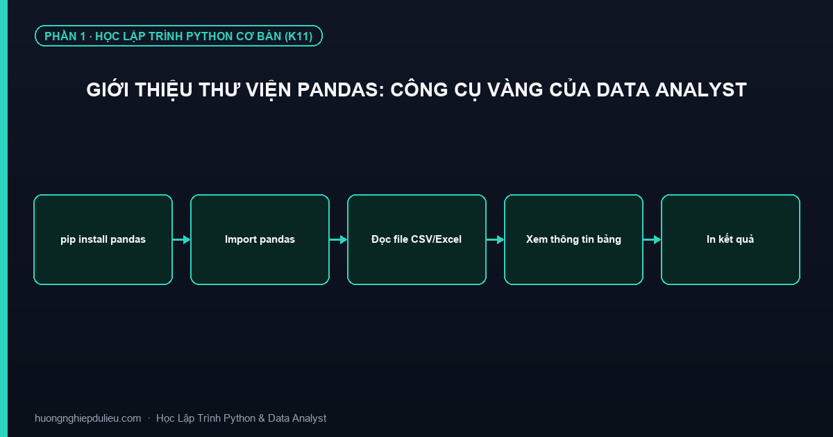 Giới Thiệu Thư Viện Pandas: Công Cụ Vàng Của Data Analyst