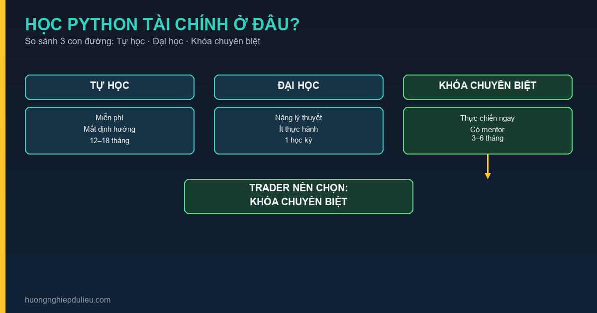 Học Python Tài Chính Ở Đâu? So Sánh Tự Học, Khóa Học Online và Đại Học