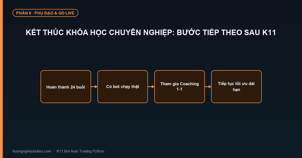 Kết Thúc Khóa Học Chuyên Nghiệp: Bước Tiếp Theo Sau K11