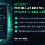 [Thông báo] Khóa IB Bot Auto Trading K5 — Học phần 2 (Phần 5–8) · 19/06/2026