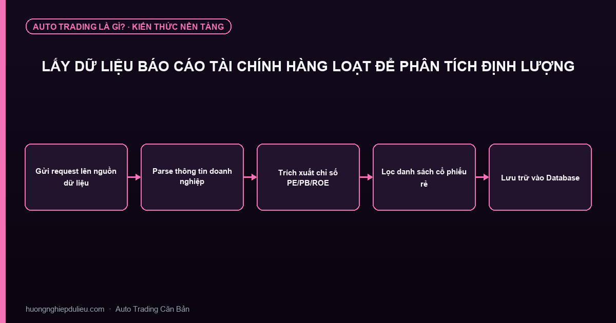 Lấy Dữ Liệu Báo Cáo Tài Chính Hàng Loạt Để Phân Tích Định Lượng