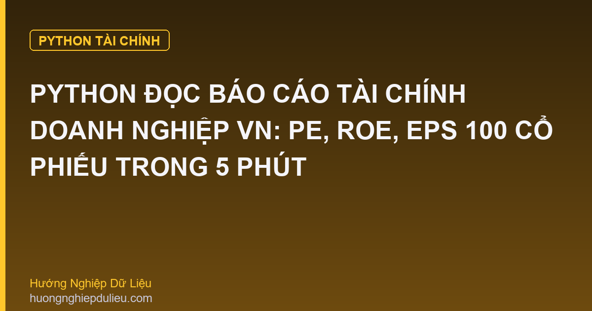 Python Đọc Báo Cáo Tài Chính Doanh Nghiệp VN: PE, ROE, EPS 100 Cổ Phiếu Trong 5 Phút