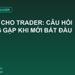 Python Cho Trader: Câu Hỏi Thường Gặp Khi Mới Bắt Đầu