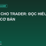 Python Cho Trader: Đọc Hiểu Log Lỗi Bot Cơ Bản