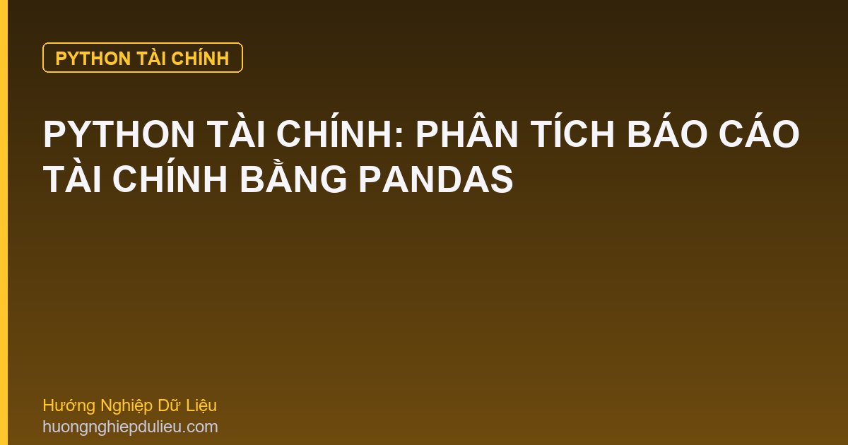 Python Tài Chính: Phân Tích Báo Cáo Tài Chính Bằng Pandas