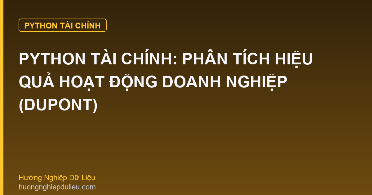 Python Tài Chính: Phân Tích Hiệu Quả Hoạt Động Doanh Nghiệp (DuPont)