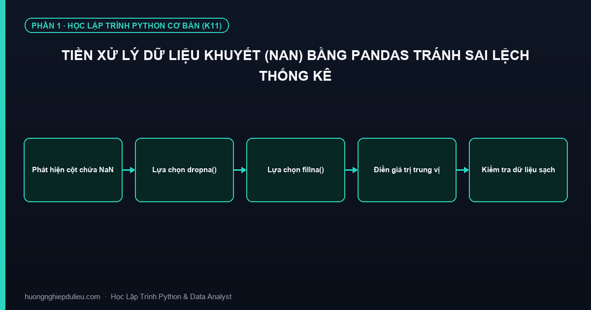 Tiền Xử Lý Dữ Liệu Khuyết (NaN) Bằng Pandas Tránh Sai Lệch Thống Kê