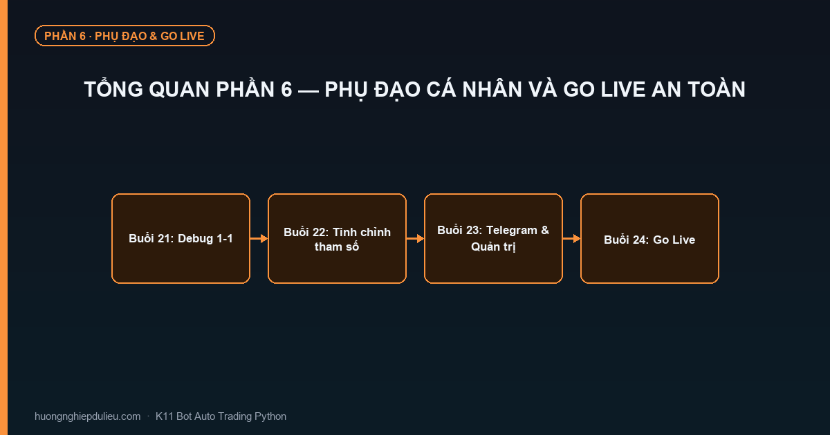 Tổng Quan Phần 6 — Phụ Đạo Cá Nhân Và Go Live An Toàn