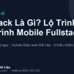 Fullstack Là Gì? Lộ Trình Học Lập Trình Mobile Fullstack Cho Người Mới (2026)